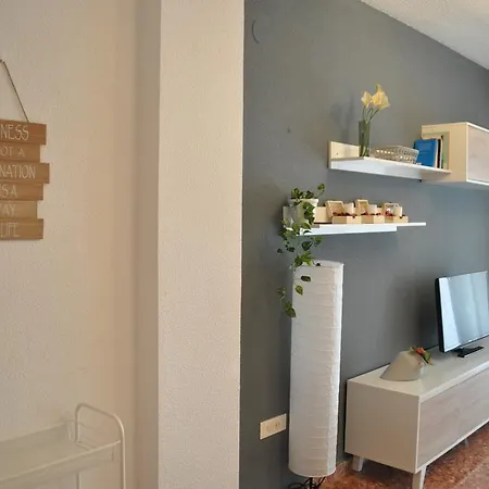 Palm Tree * 库列拉