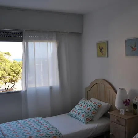 Palm Tree * 库列拉