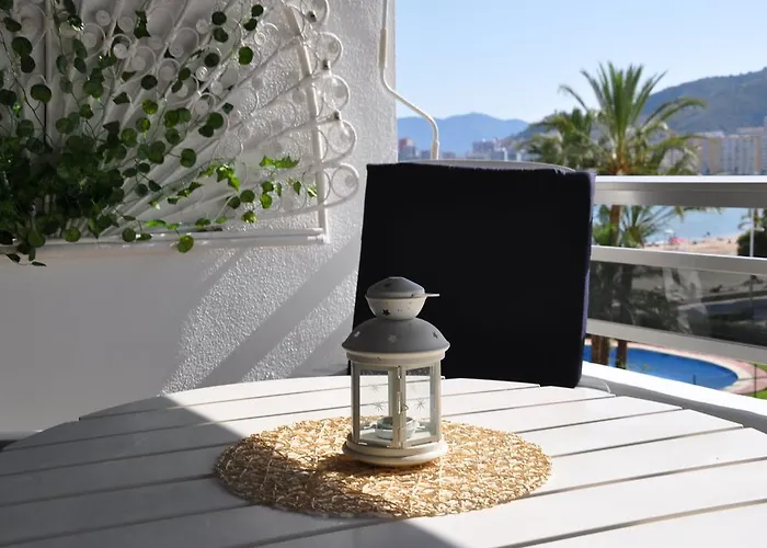 Appartement Palm Tree