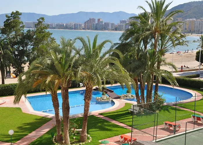 Appartement Palm Tree *