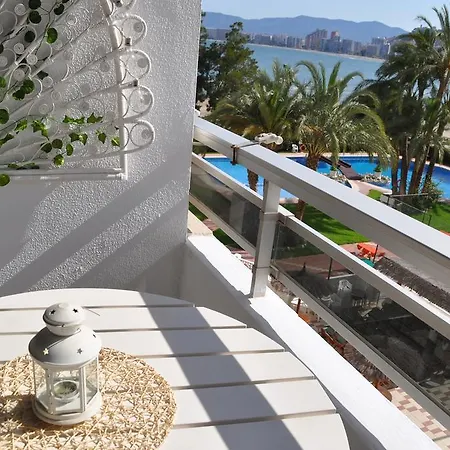 Palm Tree Apartment