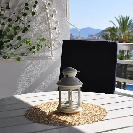 Appartement Palm Tree