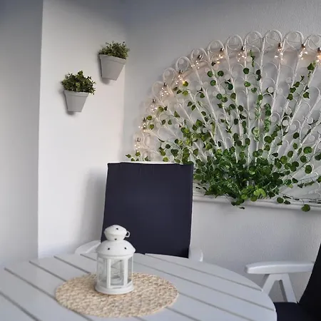 Palm Tree Appartement *