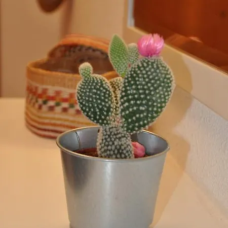 Appartement Palm Tree Cullera