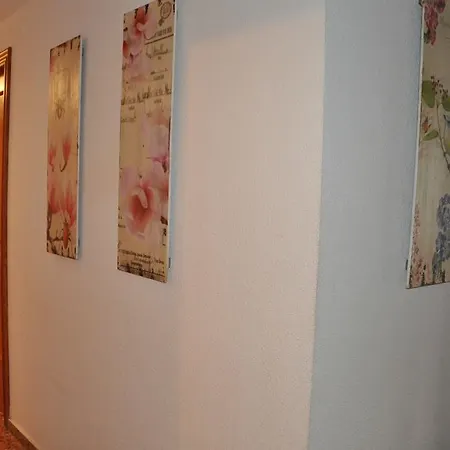 Palm Tree Appartement Cullera