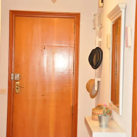 Appartement Palm Tree *