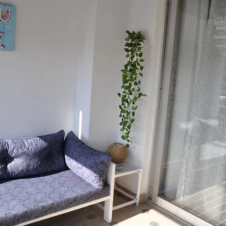 Palm Tree Appartement *