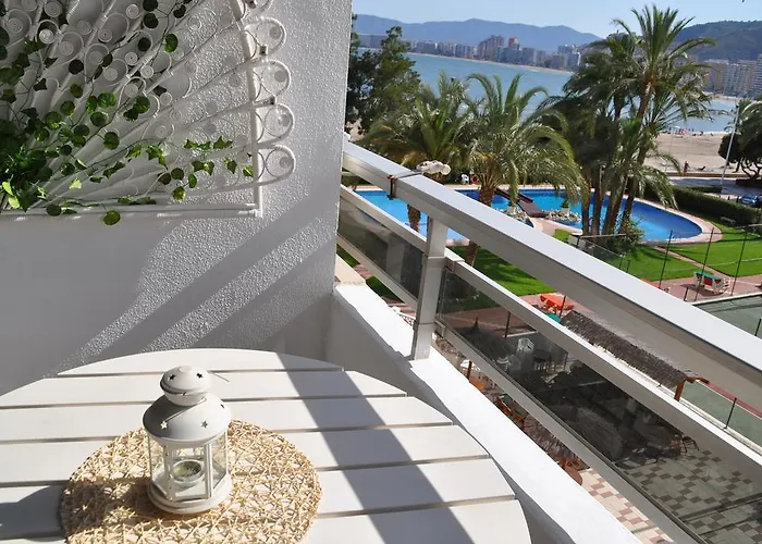 Palm Tree Daire