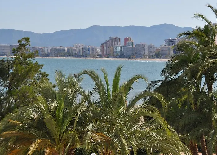 Palm Tree Daire