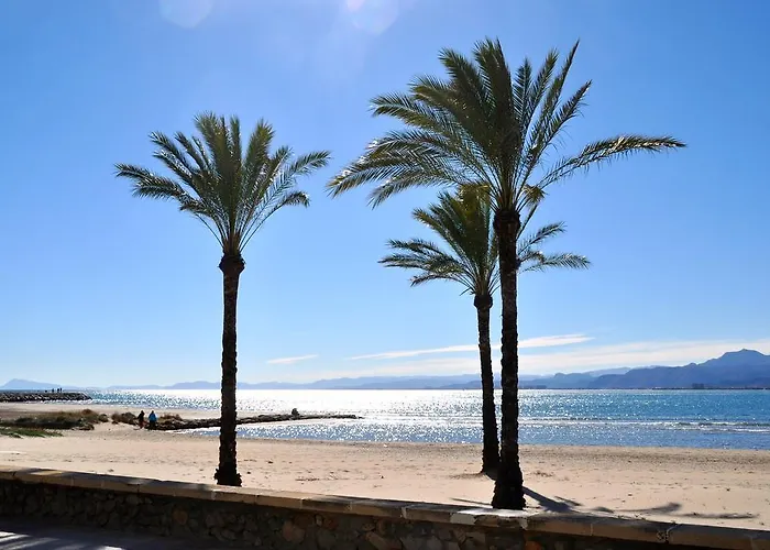 Palm Tree