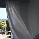 Palm Tree 库列拉
