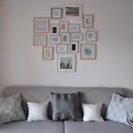 Palm Tree Апартаменты Кульера
