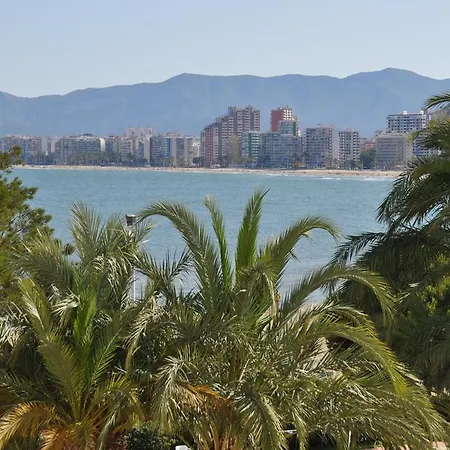 Palm Tree Апартаменты
